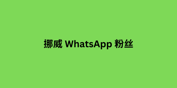 挪威 whatsapp 粉丝