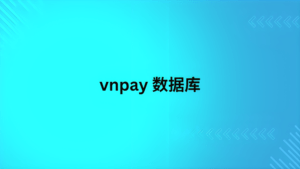 vnpay 数据库